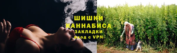 гашик Кулебаки