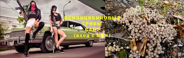 бошки Краснослободск