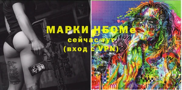 гашик Кулебаки