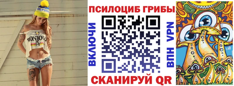 Псилоцибиновые грибы Psilocybe Купить где Приволжский